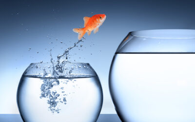 How behavior affects results